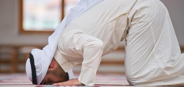 وجوب استيعاب الوجه بالغسل، وإجزاء السجود