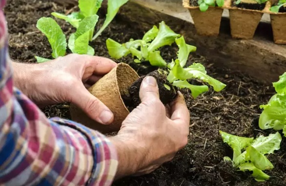 5 أعمال منزلية تقلل خطر الإصابة