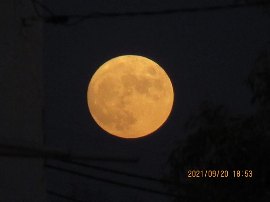 قمر الحصادين يضيء سماء الأردن