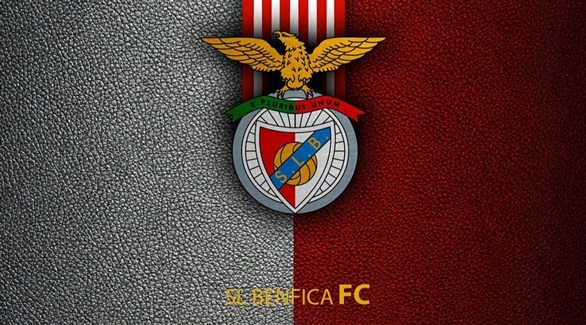 روي كوستا سيترشح لرئاسة بنفيكا