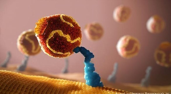 تحذير من مخاطر فرط كوليسترول الدم