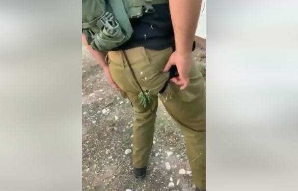 سقوط جندي اسرائيلي على نبتة صبار