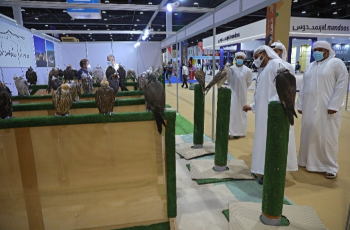 انطلاق فعاليات الدورة الـ (18) من