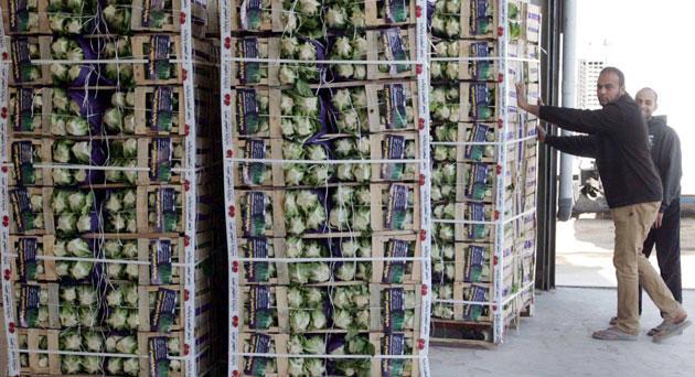 فوزي الملقي يطمئن على شحنة فواكه