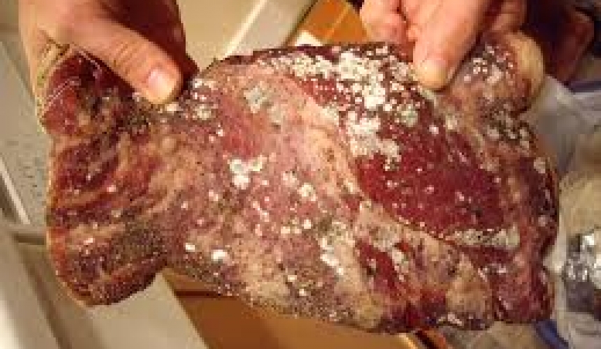 بني هاني: لدينا مشكلة غذائية ونكتشف