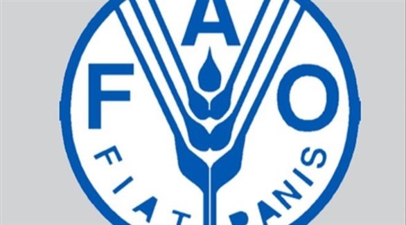 فاو: أسعار الغذاء العالمية تسجل أعلى