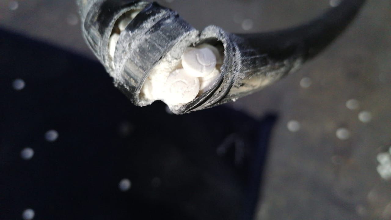 إحباط تهريب نصف مليون حبة مخدرة