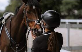 هيئة إدارية بالتزكية لنادي الأردن للفروسية