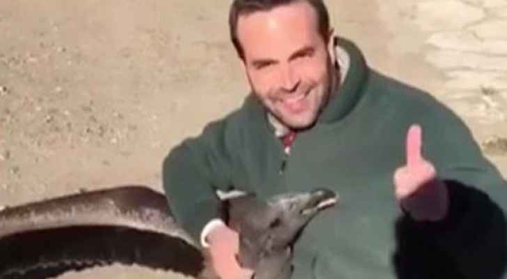 شاهد ردة فعل نسر مع أمريكي