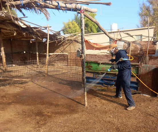 حملة لمكافحة الذباب في وادي الاردن