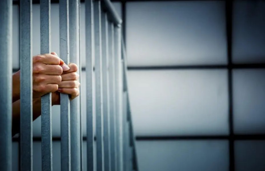 جائحة كورونا أسهمت في خفض أعداد