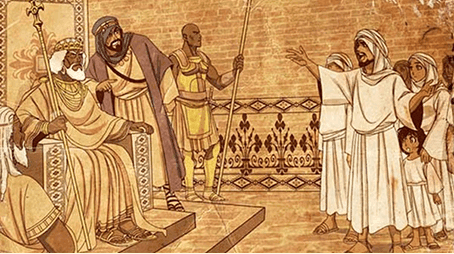 إسلام النجاشي