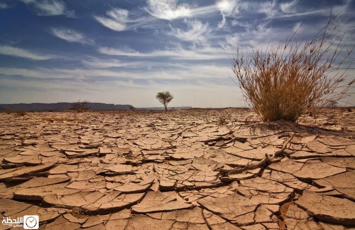 تقرير أممي: 2021 من بين أكثر