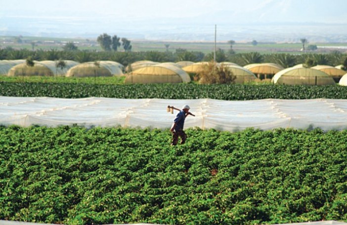 من «العمل» لـ «القطاع الزراعي».. قرارات