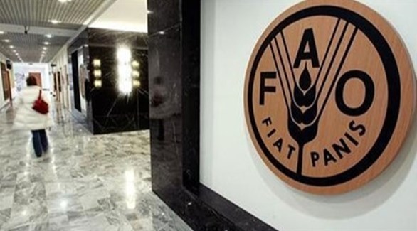 أسعار الغذاء العالمية تسجل أعلى مستوى