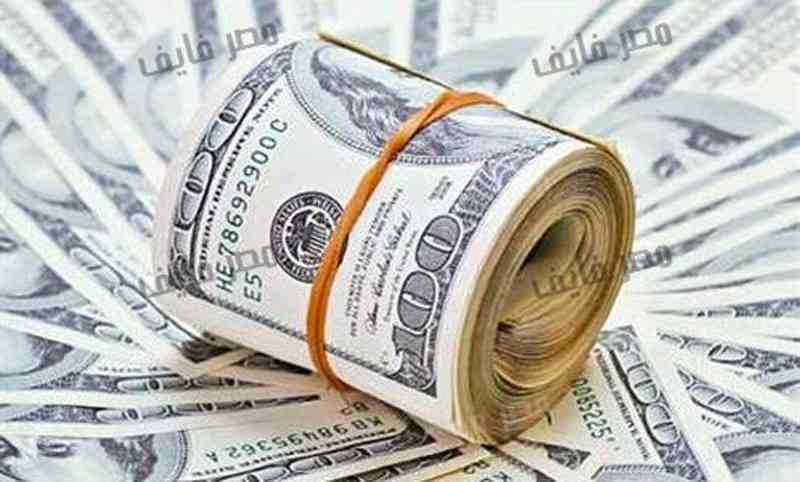ارتفاع الدولار الأميركي