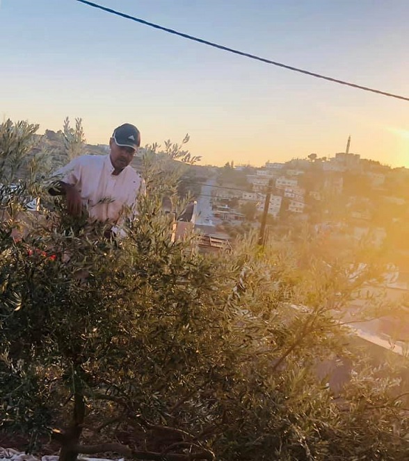 ماذا يفعل الباشا عدنان العبادي