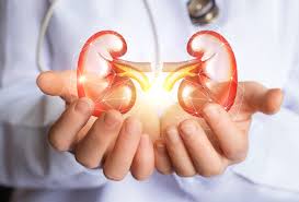 الأزهر وحكم زراعة كلية خنزير في