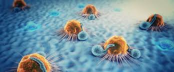 مستشفى رامبام في مدينة حيفا يطور