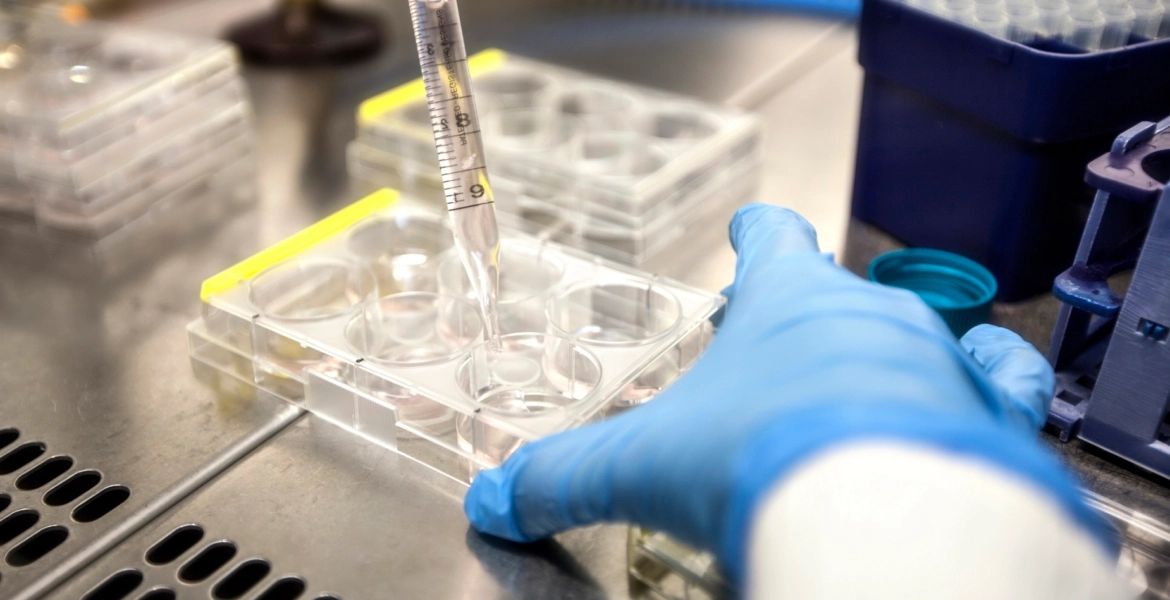 نهاية صادمة لزوجين لجآ للتلقيح الصناعي