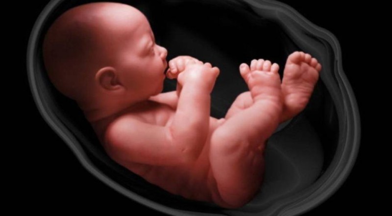 في الأردن.. . أم تقتل رضيعتها