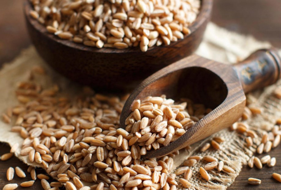 طرح عطاء لشراء 120 ألف طن