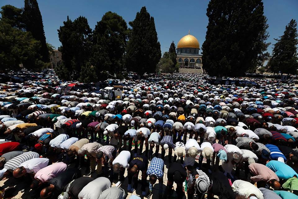 نحو 1635 1632 1632 ألف فلسطيني