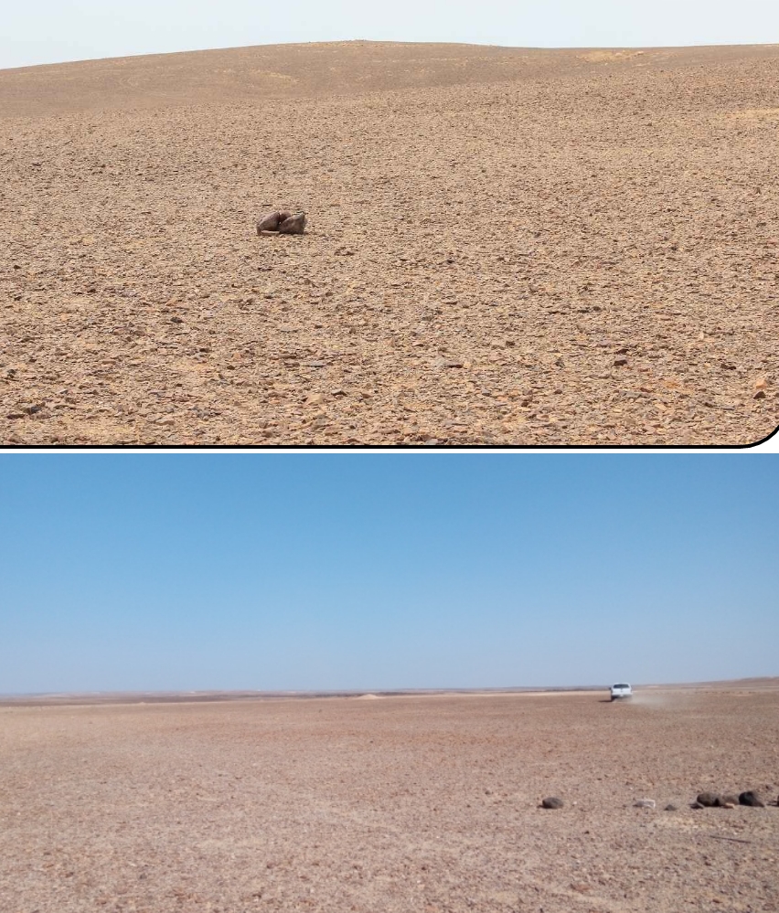 14 مليون تكلفة مشروع الازرق ببصمة