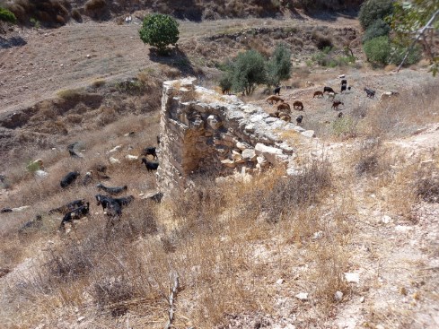 مشهد من حضارات الأردن.. وادي سمر