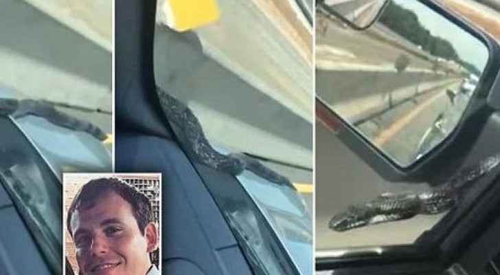 بالفيديو.. كيف يمكن أن تتصرف في