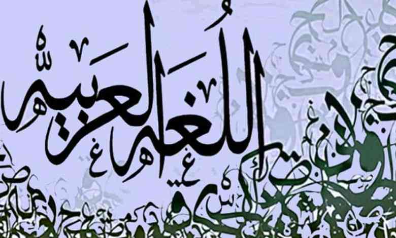 هكذا أحببت اللغة العربية