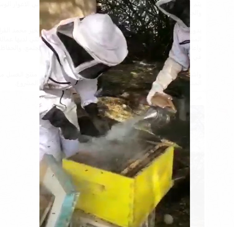  رواد ومسار الخير تتفقدان مشروع تربية النحل بالاغوار (فيديو)