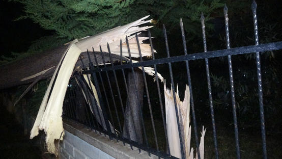 4 قتلى بسبب الرياح في اسطنبول