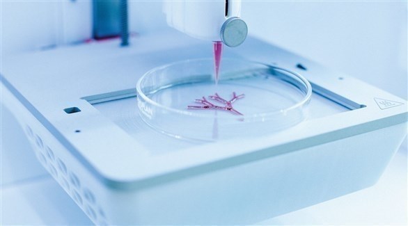 قريبا.. . زرع جلد بشري بالمختبر