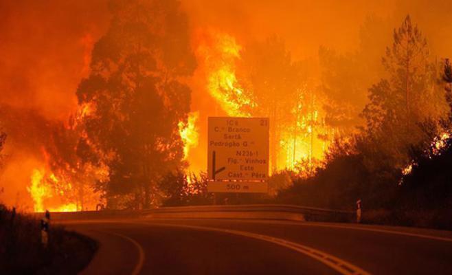 61 قتيلا في حرائق غابات ضخمة