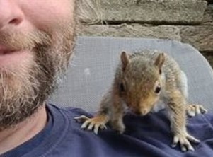 يصمم مجمعا مصغرا للسناجب في حديقة