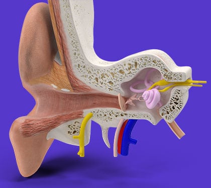 تفقد السمع في إحدى أذنيها بعد