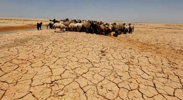 1641 1632% من مساحة الأردن مهددة