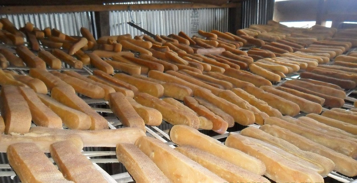 هل سمعت عن جبن تشوربي أقسى