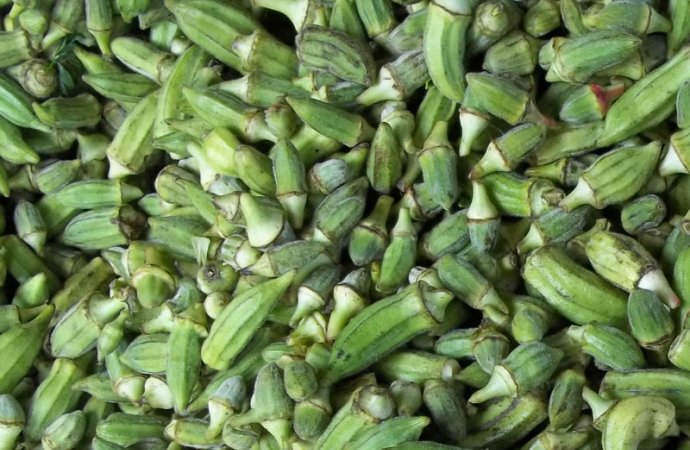 الأردن يصدر الباميا لفرنسا وبريطانيا وايطاليا