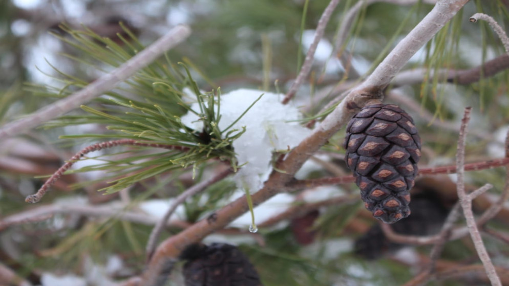 كتلة هوائية باردة وماطرة مخلوطة بالثلوج