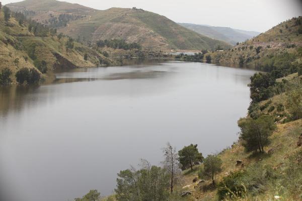 المحاسنة: نسبة تخزين السدود متواضعة