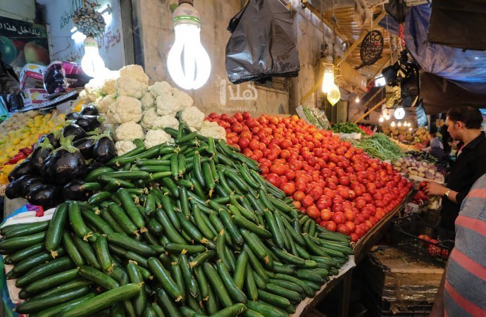 مسؤول يحذر من انخفاض أسعار الخضار