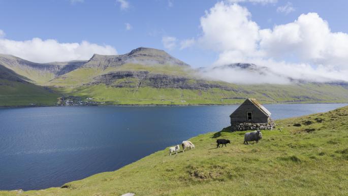 الفايكينغ ليسوا أول الواصلين إلى جزر