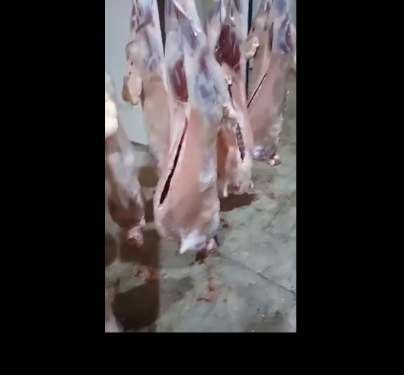 الزراعة ترد على فيديو «ابو طلال