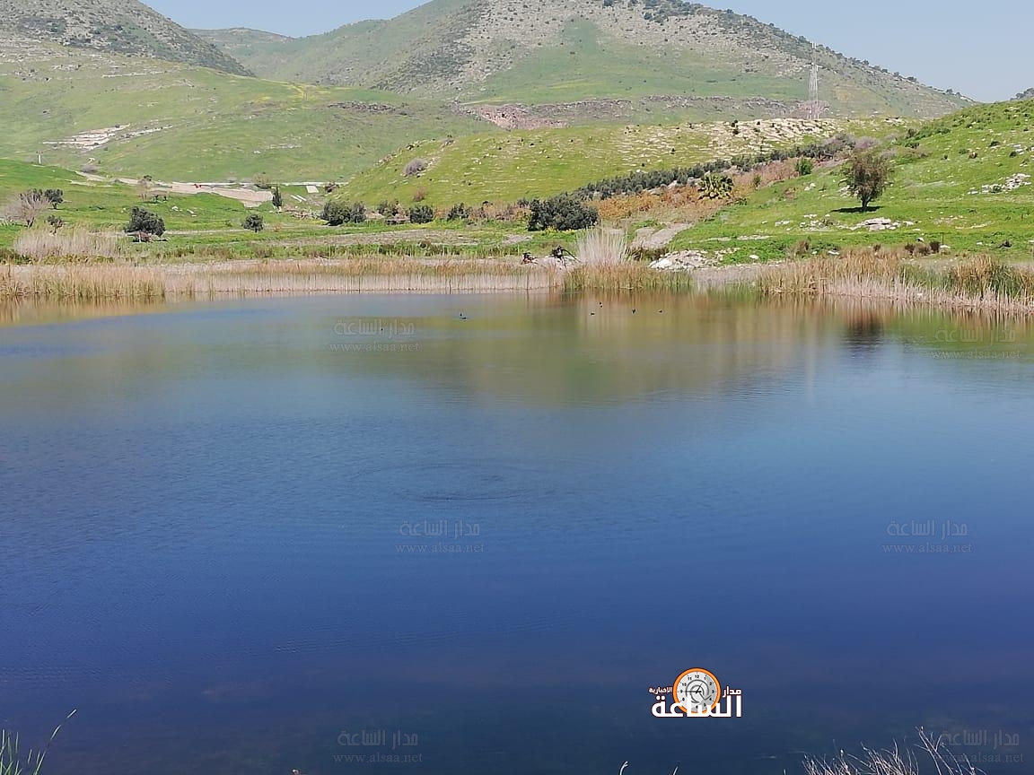 وفاة أربعيني غرقا ببركة لتربية الأسماك