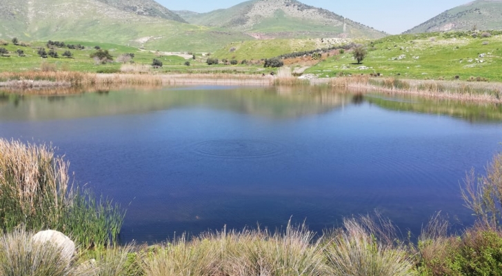 مشروع لتعزيز الزراعة المائية المنزلية ودعم