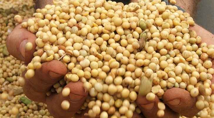 الزراعة تتحقق من بذور في الأسواق