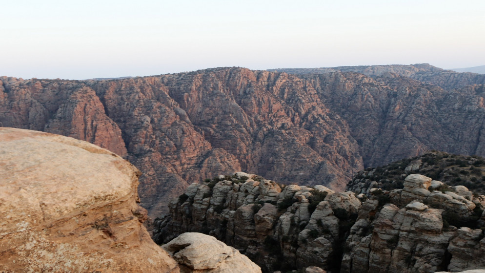 رئيس لجنة الطاقة النيابية يدعو للتأكد