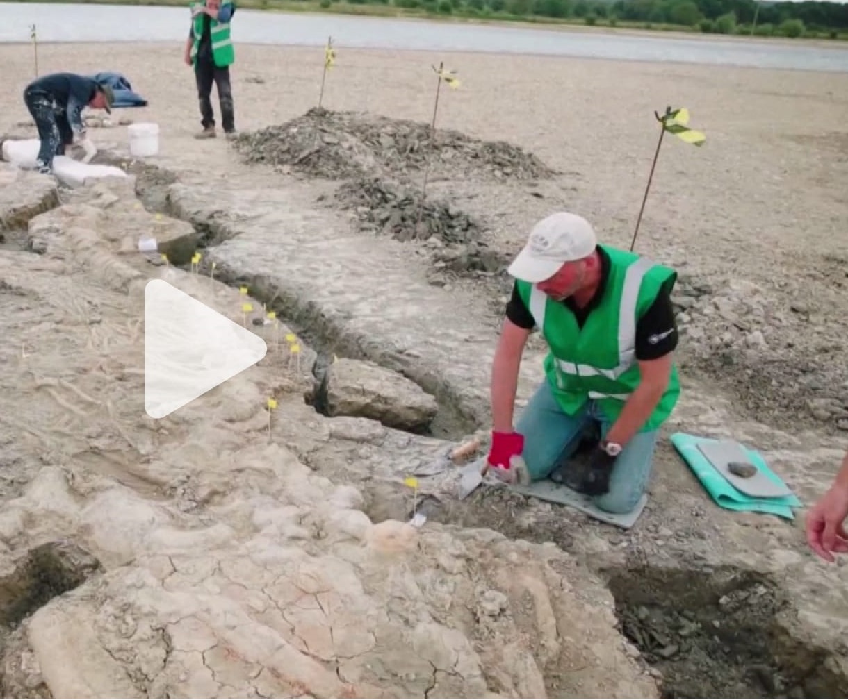 اكتشاف بقايا ضخمة لإكتيوصور عمرها 180